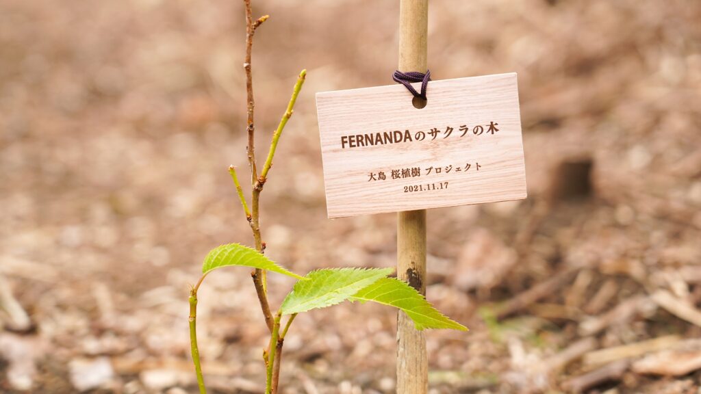 大島桜植樹プロジェクト