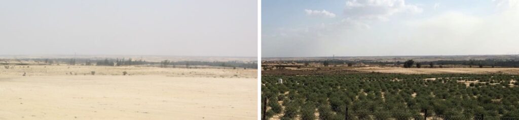 【写真提供：（株）シモンド】砂漠を緑化へ