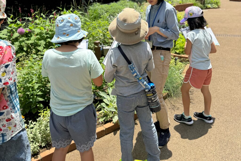 こどもエコクラブ