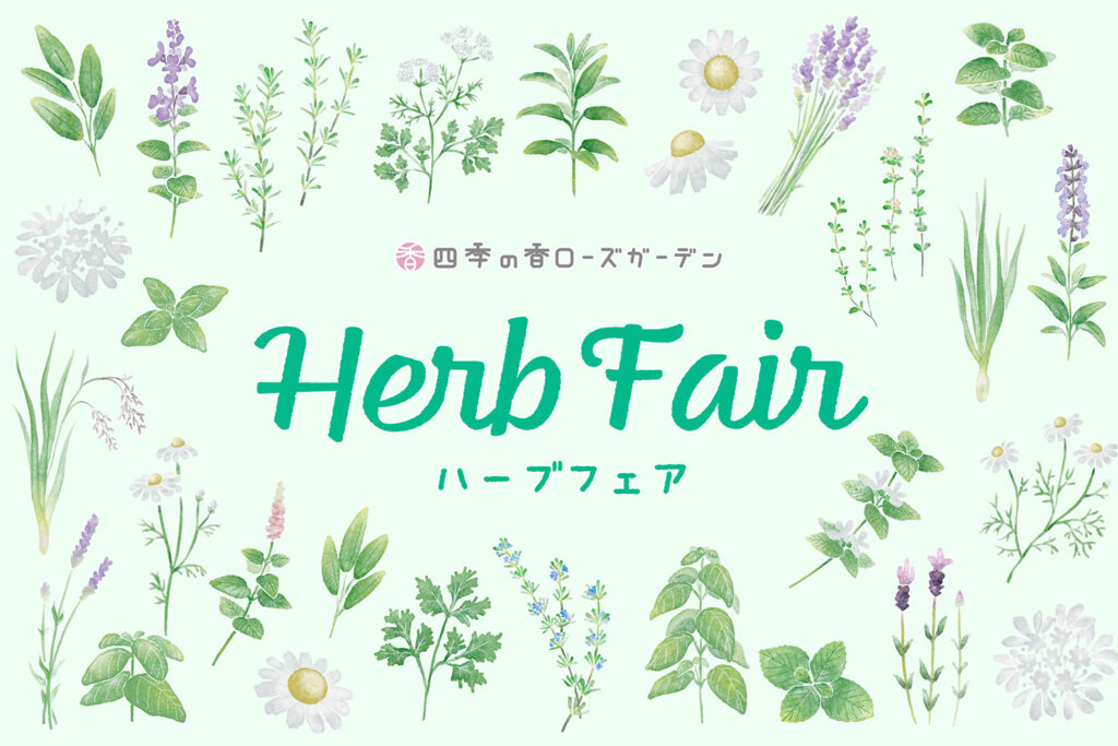 ハーブフェア