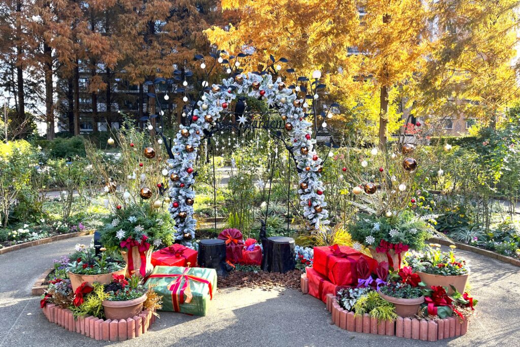 色彩フォトスポット2024_2