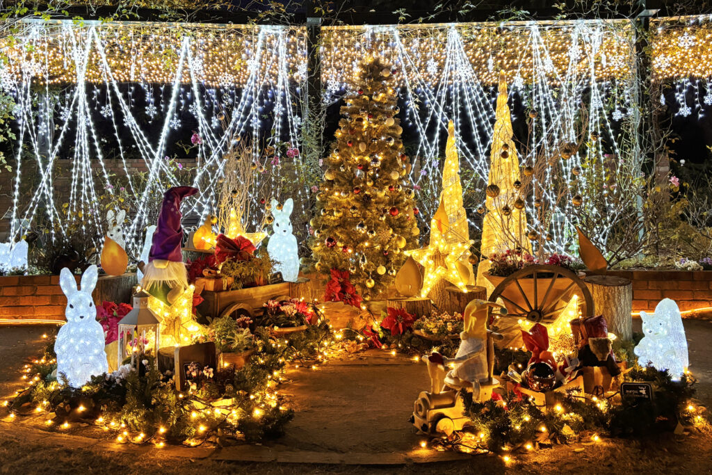 香りのローズガーデンフォトスポット2024