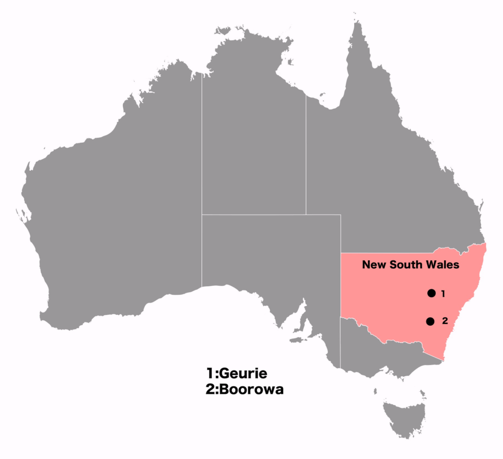 オーストラリア太陽光発電プロジェクト