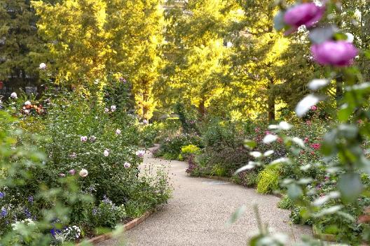 秋ならではの草花も楽しめる園内